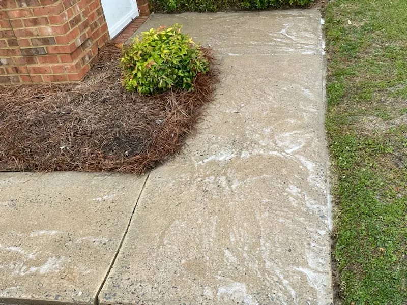 simpleintegrityprowash